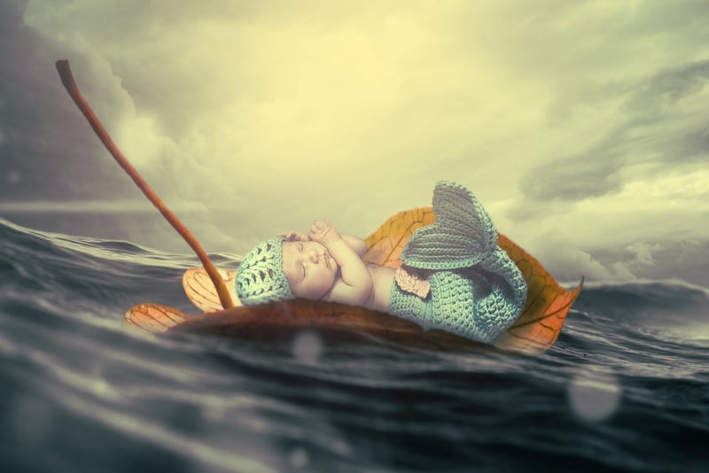 Mermaid Sanctuaries