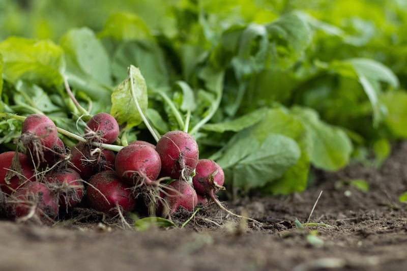 Precision Agriculture